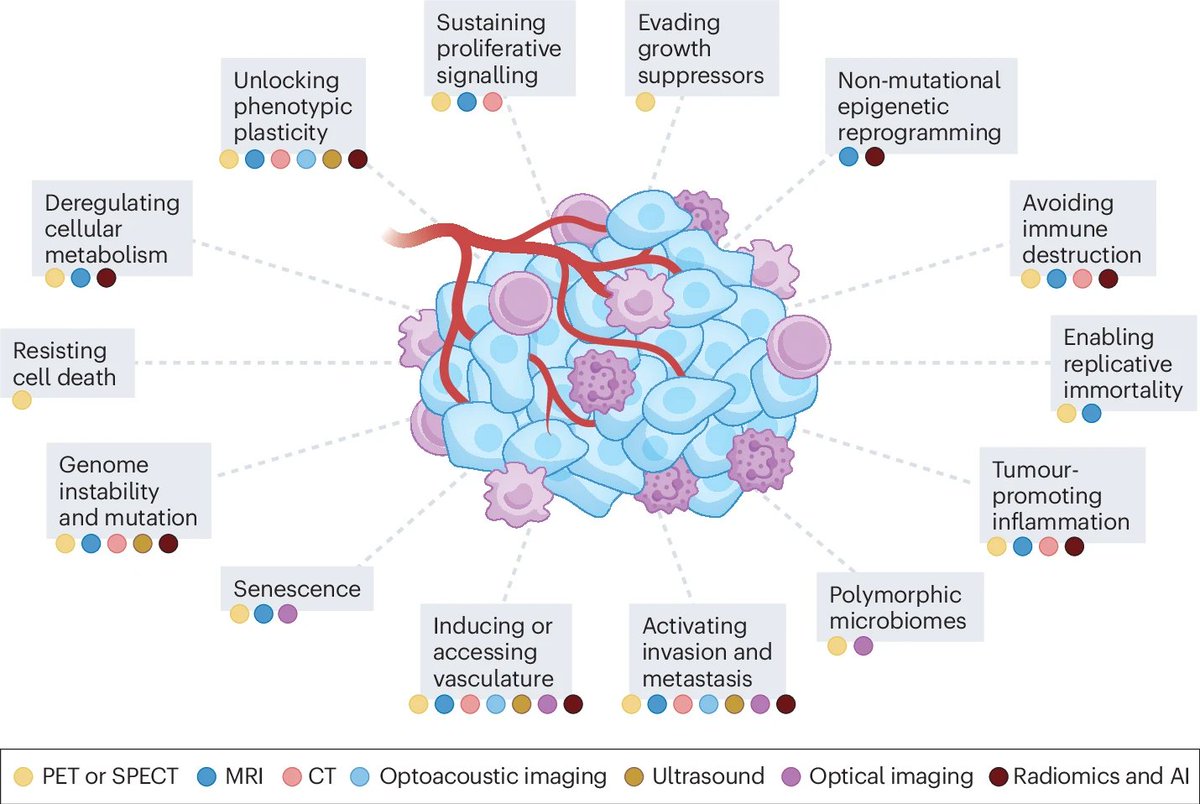 dr_yakupergun's tweet photo. Imaging the hallmarks of cancer

https://t.co/NdURTgmnZS https://t.co/qvHx585y2r