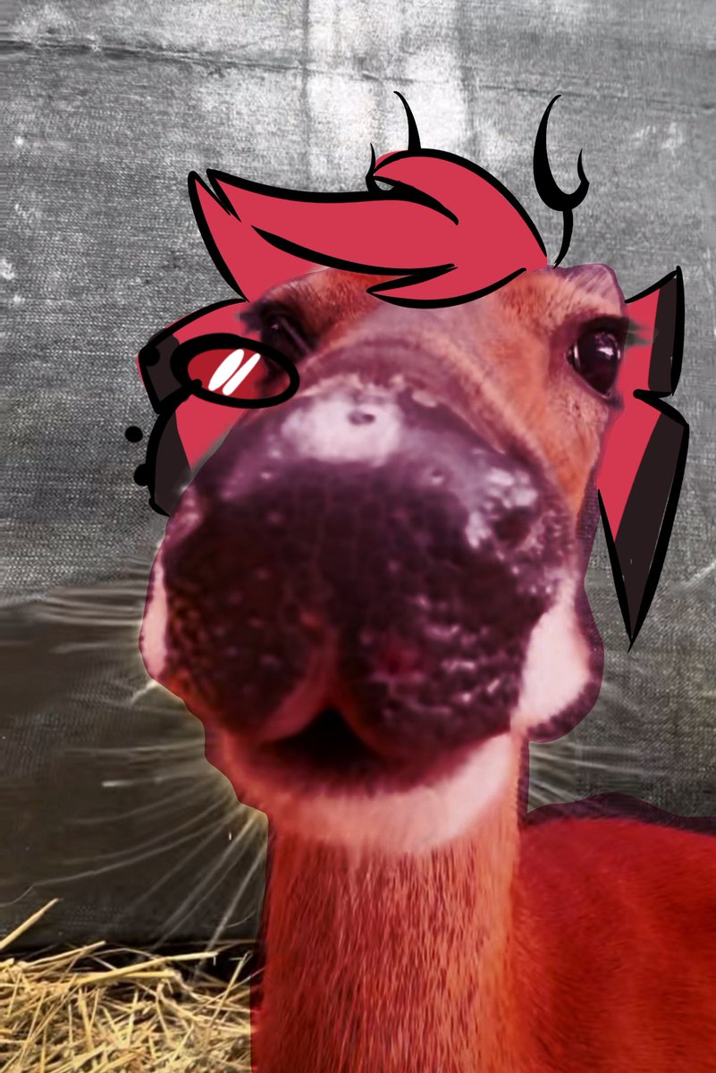 ultra_tired's tweet photo. FRIENDS? THERE ARE NO FRIENDS IN HELL VINCENT https://t.co/iMs3mipI7T