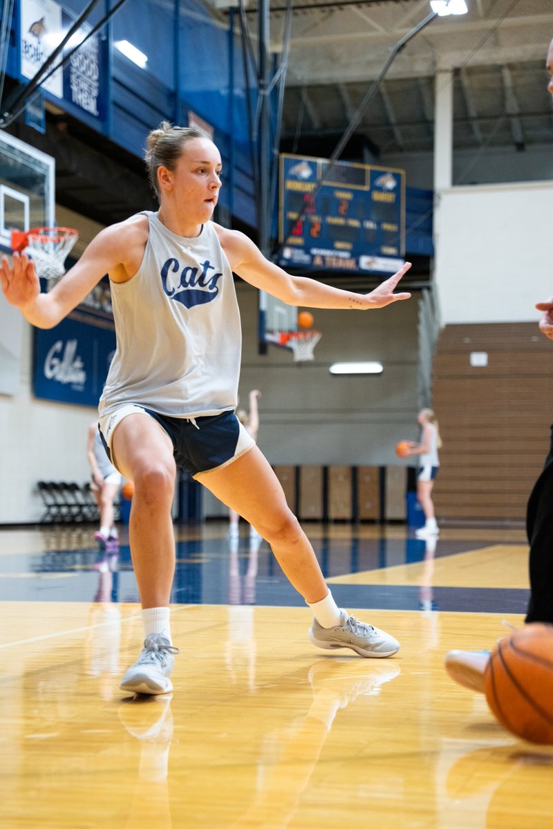 BigSkyConf's tweet photo. Bobcats are back to work in Bozeman 😺 https://t.co/NSa48jKM5a