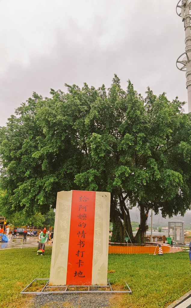 linglinfishout's tweet photo. 阿嬷的情书，水生落水的地方 https://t.co/a6Y8ljKno4