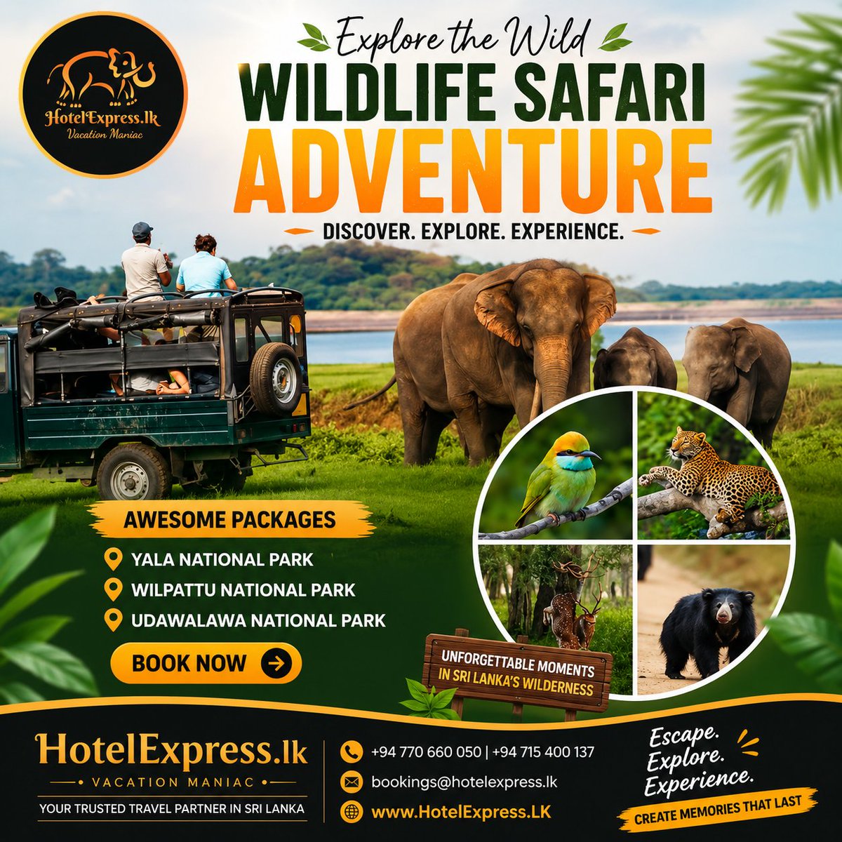 HotelExpress_lk's tweet photo. 🦁 Your next adventure is waiting in the wild! Experience thrilling safaris through Yala, Wilpattu, and Udawalawe, where elephants, leopards, and unforgettable wildlife encounters await. Visit https://t.co/pbjH6STwLM and book your safari today! 🌿 #Safari #SriLanka https://t.co/np1Qjjq5hF