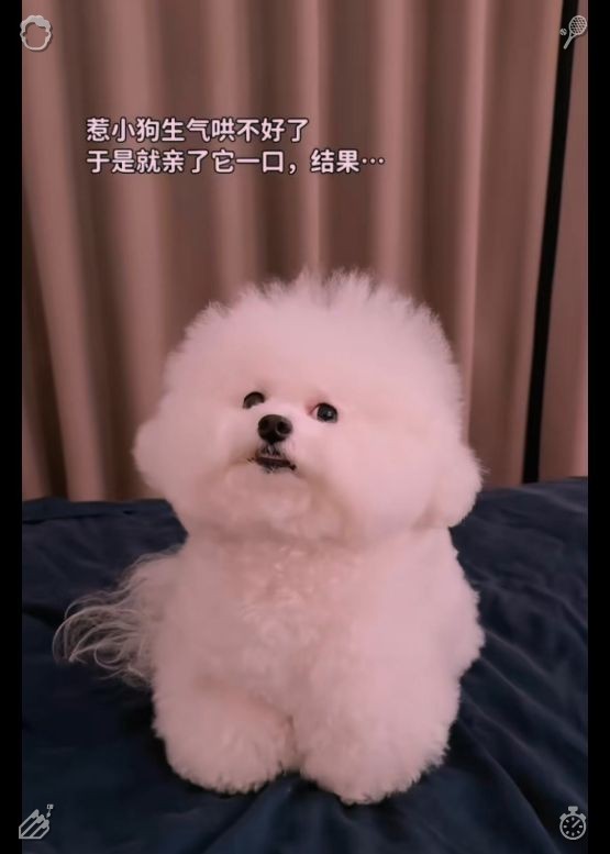 _yu1017mi_'s tweet photo. 每一次操作都体现了我们对待客户的态度。展望未来！随着夕阳彻底落下，天空变得昏暗，他们手牵着手站起身，向莉拉的小屋走去。街道寂静无声，唯有路灯与月光交织，远处传来阵阵海浪声。芬恩一直陪她走到她的门前。 https://t.co/ffMT9KOSUZ