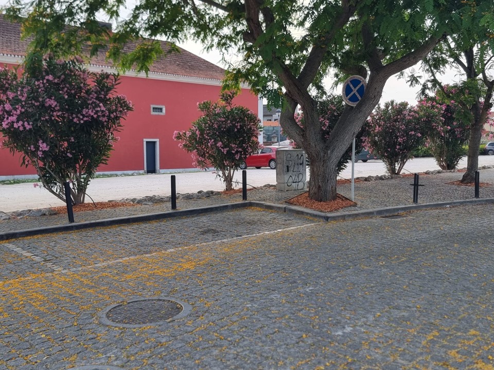 JFBucelas's tweet photo. A Junta de Freguesia de Bucelas procedeu à colocação de brita de tijolo nas caldeiras de floreiras e árvores na Rua Centenário da República, junto ao parque de estacionamento do Museu da Vinha e do Vinho, em Bucelas. https://t.co/khbEPywziN