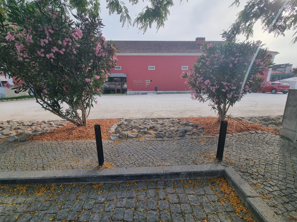 JFBucelas's tweet photo. A Junta de Freguesia de Bucelas procedeu à colocação de brita de tijolo nas caldeiras de floreiras e árvores na Rua Centenário da República, junto ao parque de estacionamento do Museu da Vinha e do Vinho, em Bucelas. https://t.co/khbEPywziN