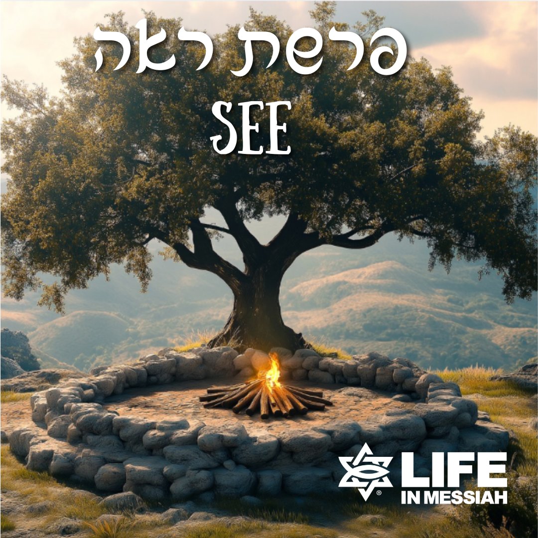 LifeinMessiah's tweet photo. Each week, Jewish people around the world read the same Parasha (meaning “portion”) from the Torah (the first five books of the Hebrew Bible) and the Haftorah (meaning "conclusion" and includes the Prophets). This week’s Parasha is Deuteronomy 11:26-16:17 and Isaiah 54:11-55:5.

Moses sets before Israel blessings and the curses, calling them to choose obedience to God’s commands and urging them to remember the Lord who redeemed them from Egypt.

Each day we stand before the choice of obedience to God or self. When we are faithful, our lives become a testimony of love and gratitude before our Lord.

Shabbat Shalom!
https://t.co/DR6lNbnrXu