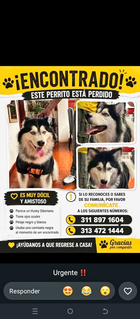 athenearola's tweet photo. Bogotá  RT RT RT 🙏🏻 https://t.co/GDtk8sOLt4
