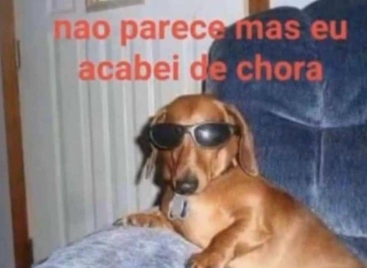 shukiz_'s tweet photo. pai eu sinto medo de ser eliminado pelos japoneses https://t.co/vxGziJYVh7