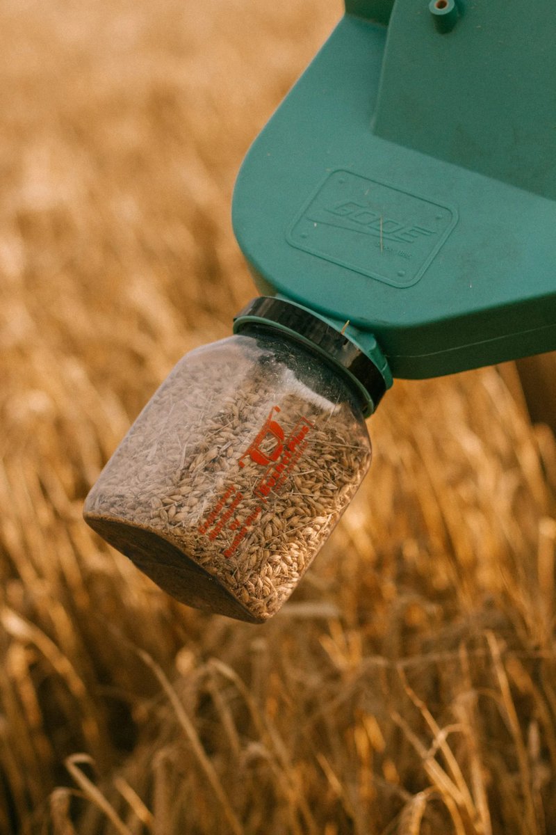 torgersons_llc's tweet photo. Your combine should harvest, not sample.
That’s where the MiniCombine comes in.
Learn more: https://t.co/pwTMAnhPm2
#TorgersonsEquipment #bushelplus #minicombine #HarvestSeason https://t.co/cw4BQM1Z3G