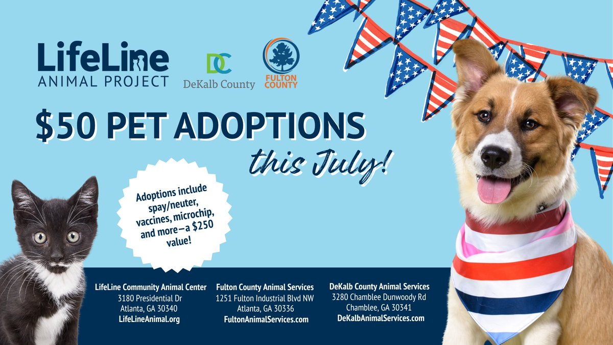 lifelineanimal's tweet photo. Celebrate this Fourth of July safely! 
Keep pets indoors during fireworks and make sure they're wearing ID.
Looking for a new best friend? 🐶🐱 July adoptions are just $50 at LifeLine Animal Project!❤️ https://t.co/9UxQQG5Zrk https://t.co/LWA2Yri39E