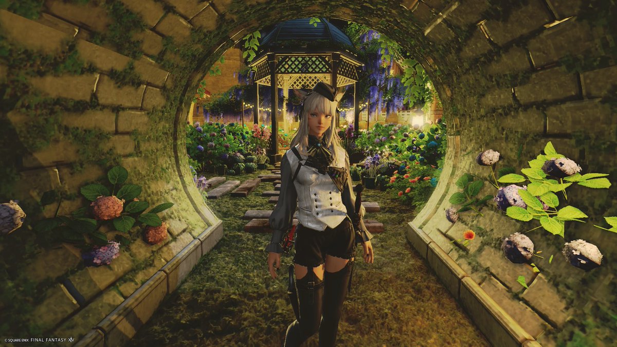 Neko_Matq's tweet photo. 最近疲れがたまってインしてもボーっとしてるな〜🙃
長期の休みが欲しい😪
#FF14SS https://t.co/DTgL4dsunu
