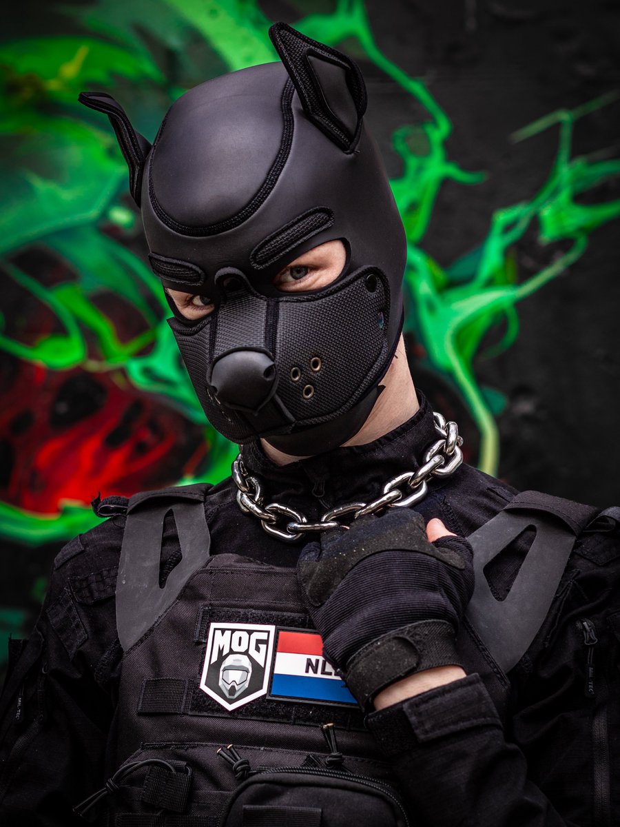 puppy_noxy's tweet photo. Would you like to have a tactical puppy🙈 https://t.co/lqKj4SUG4q