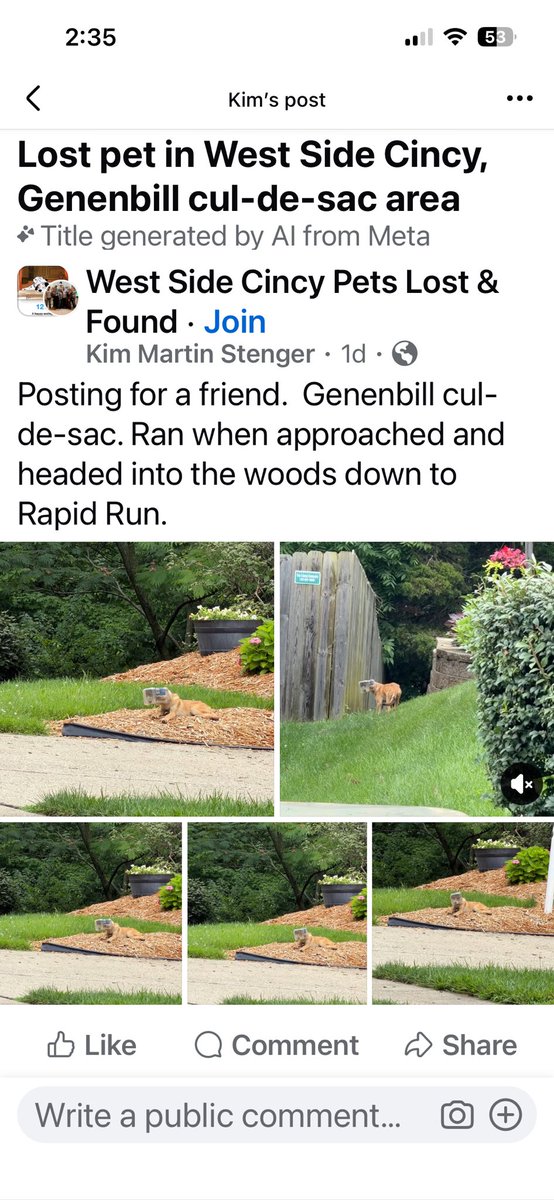 ShereeWLWT's tweet photo. PLZ RT: You all know what a huge animal lover I am…
A viewer shared this asking for help.There is a dog running around the west side w/a container stuck on his headIf you spot him or know anyone who could help him-Maybe animal control-please help out. 
It is really HOT out!🥹 https://t.co/RJBda7EpVa