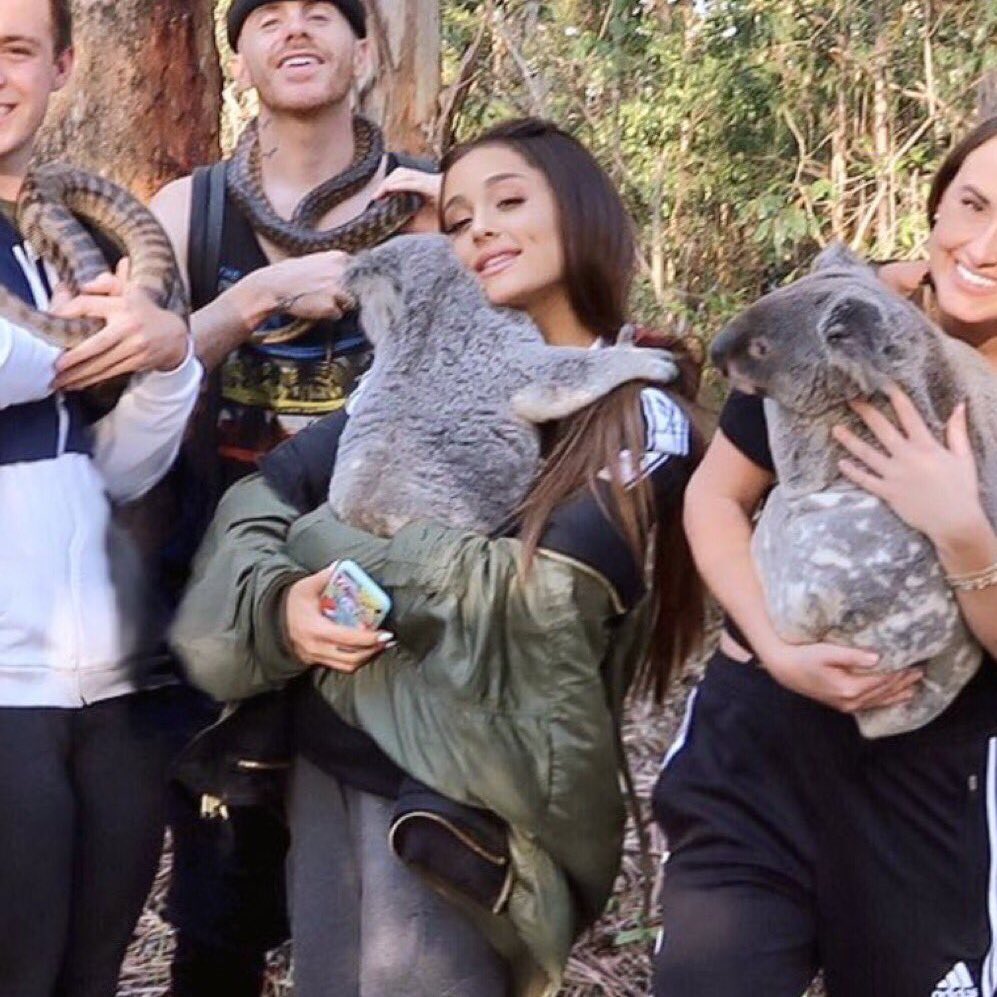twpno17's tweet photo. @baby_eternally_ ariana &amp; friends with koalas and meerkats at the australian zoo comes to mind!! time really flies.. 2017 is still fresh in my mind. https://t.co/UMnlgQd5Wl