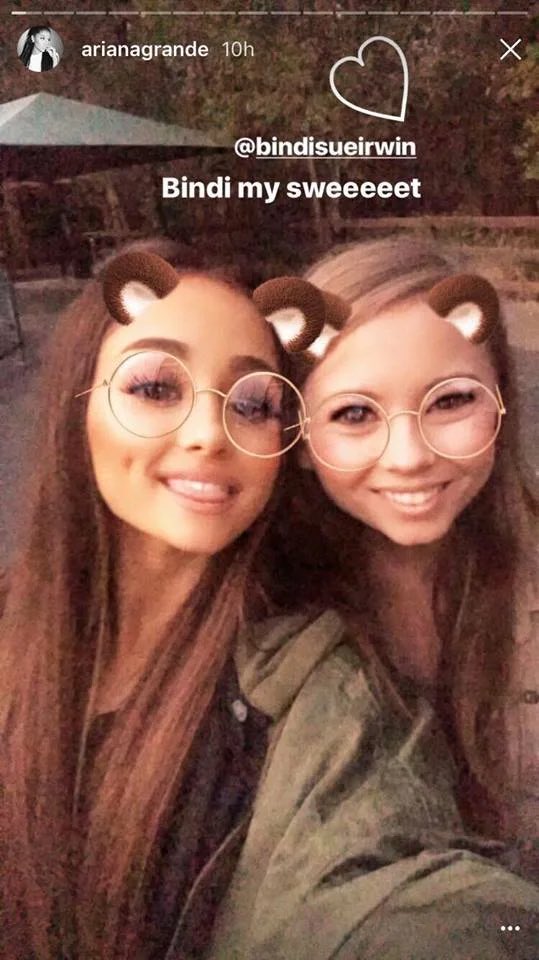 twpno17's tweet photo. @baby_eternally_ ariana &amp; friends with koalas and meerkats at the australian zoo comes to mind!! time really flies.. 2017 is still fresh in my mind. https://t.co/UMnlgQd5Wl