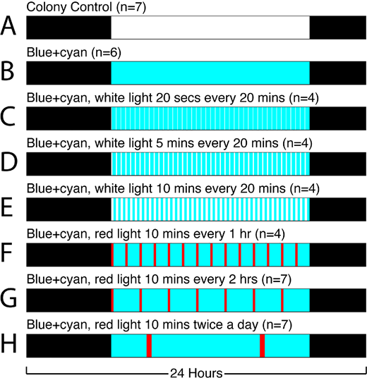 ARVOiovs's tweet photo. Timothy J. Gawne et  al. from the University of Alabama at Birmingham use a tree shrew model of slowly progressing childhood myopia to evaluate how regular breaks from a myopiagenic visual environment affect the development of myopia. 
https://t.co/R192HaYCto https://t.co/dbdEZuHoNq
