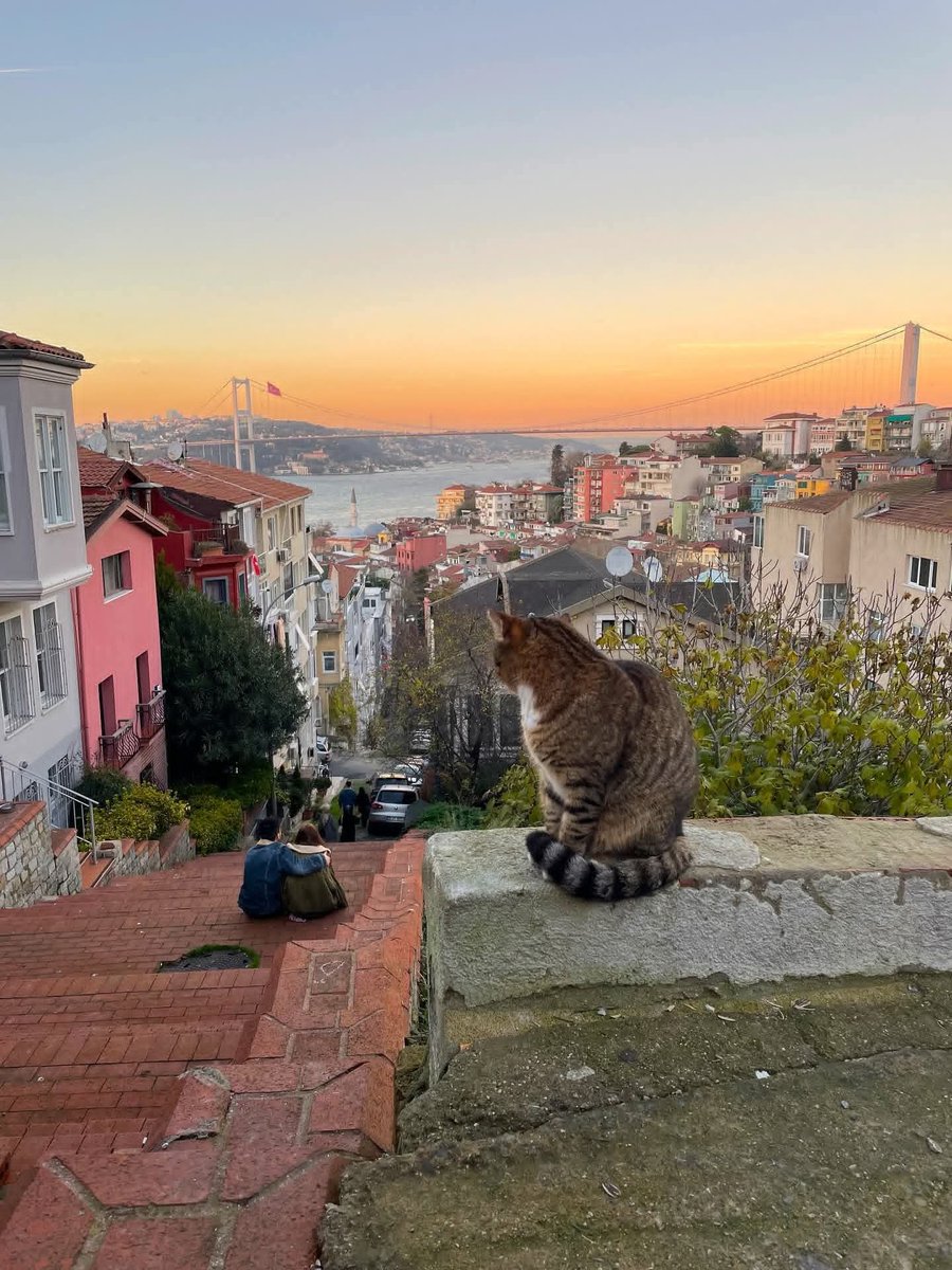 umuttgunerr's tweet photo. İstanbul https://t.co/Nc4TpS26pY