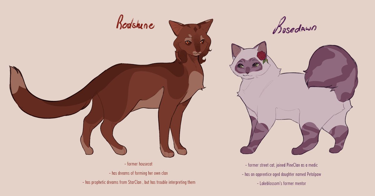 ofthestarrs's tweet photo. i haven't touched these books in 4 years #rosariya #warriorcats https://t.co/GQxdJVlMCZ