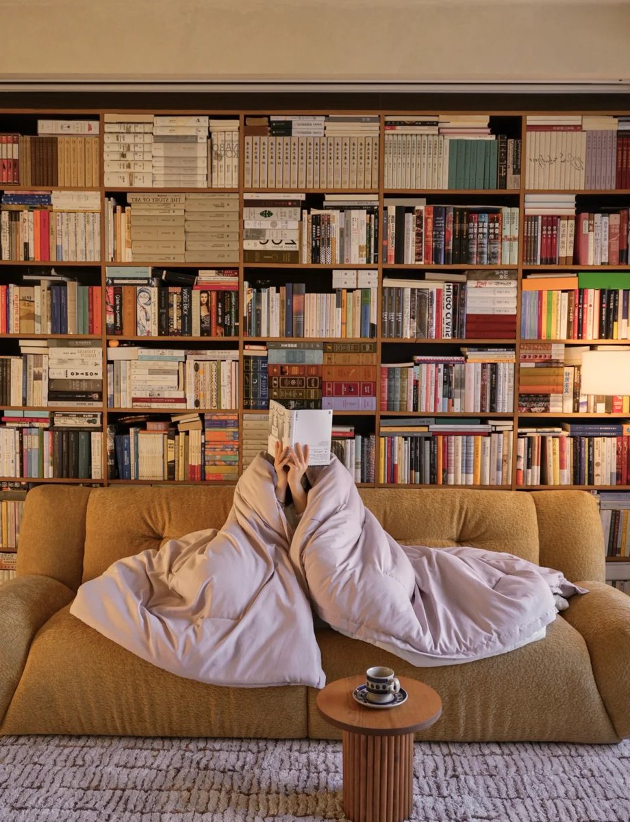 TapioHarolin's tweet photo. Just turned my messy couch into a cozy reading nook—crumbled snacks hidden, cushions fluffed, and suddenly my weekday feels way softer. https://t.co/GzOPGGNLhS