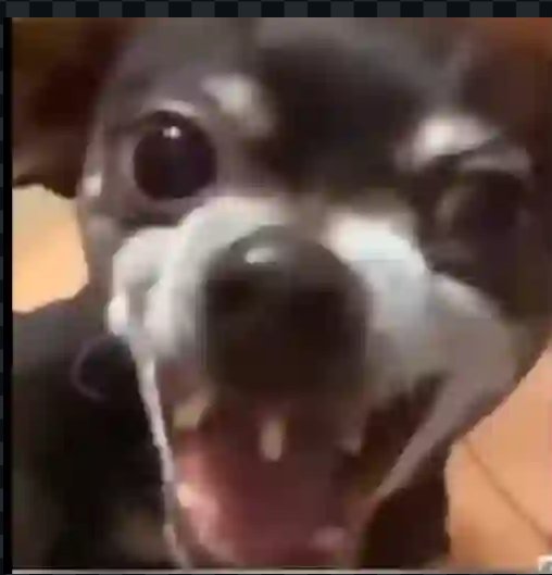 banmzy's tweet photo. @francisdayforu Okay😂😂
If you say so!! https://t.co/lcccWkULl9