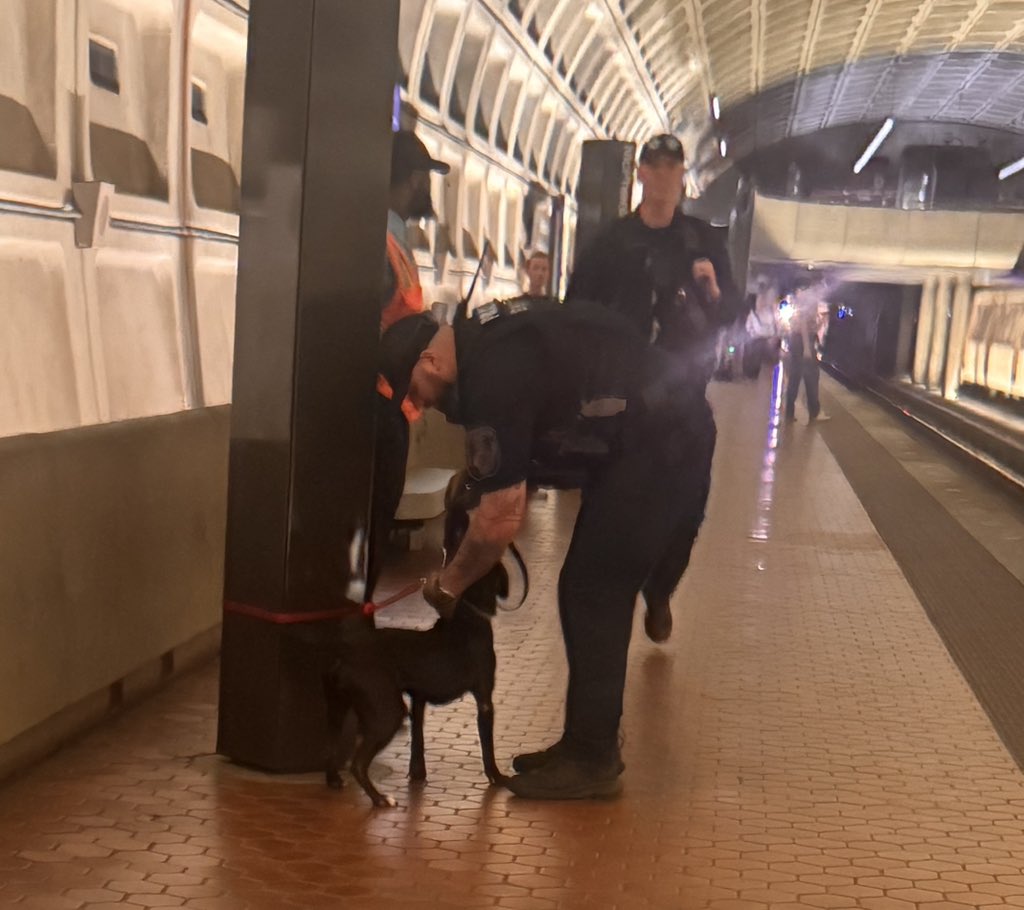 Doda_Day's tweet photo. Can’t make this stuff up…somebody left this dog tied up on the platform 🤦🏾‍♂️  only on #wmata @WashProbs https://t.co/uxl77bmipF