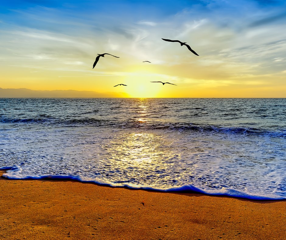 realNDWalsch's tweet photo. There is no such thing as failure. There is only success, manifesting in its many aspects. There is also no such thing as that which is not God. There is only God, manifesting in Its many aspects. https://t.co/RsSZD8Y2DL