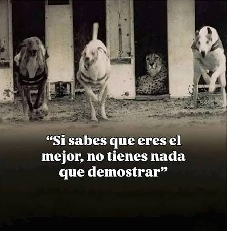 maatzov's tweet photo. @jasamoso10 Dejo esto por aca https://t.co/Xxyb6vA1mg