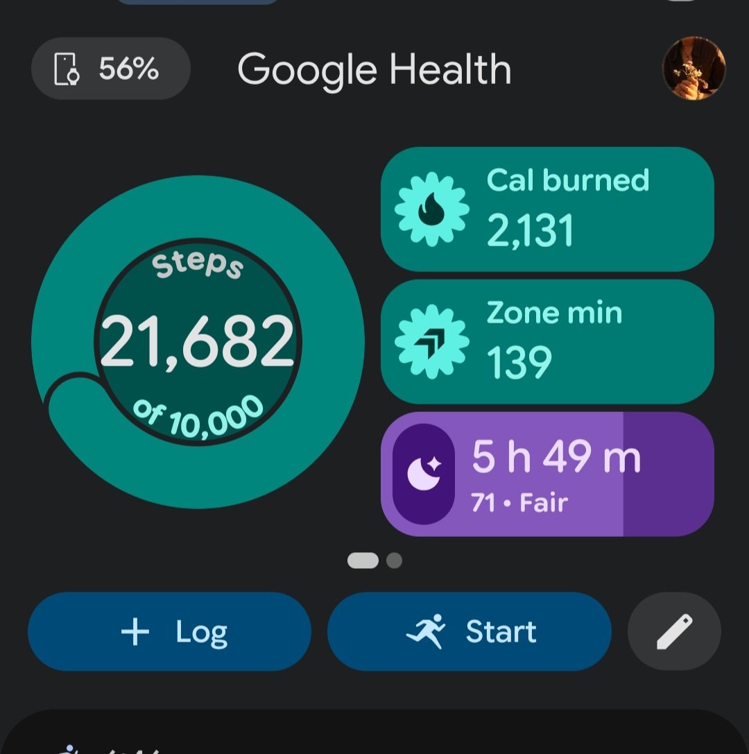 decayingbugz's tweet photo. todays stats. im such a chud https://t.co/m4DRhAoEw5