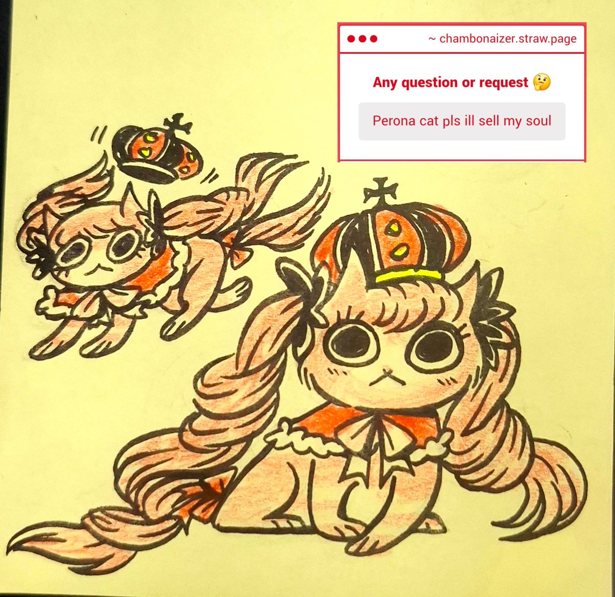 chambonizer's tweet photo. I tried. Cat with very long hair hahaha https://t.co/luA43CeDiW