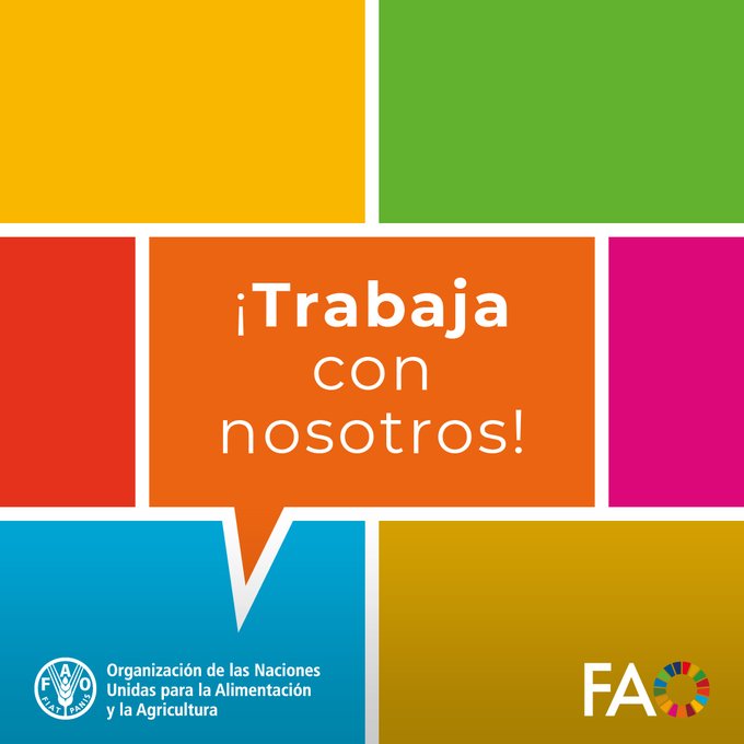 FAO_AgriFam's tweet photo. 📢¡Trabaja con nosotros!

Buscamos a Especialista en Financiamiento Innovador y Estructuración de Ecosistemas Financieros.

Contribuye al desarrollo rural, la resiliencia de los sistemas agroalimentarios y la movilización de inversiones.

🔗https://t.co/0DWBLPpwMp
🗓️Plazo: 25-07 https://t.co/NKZPvraLlx