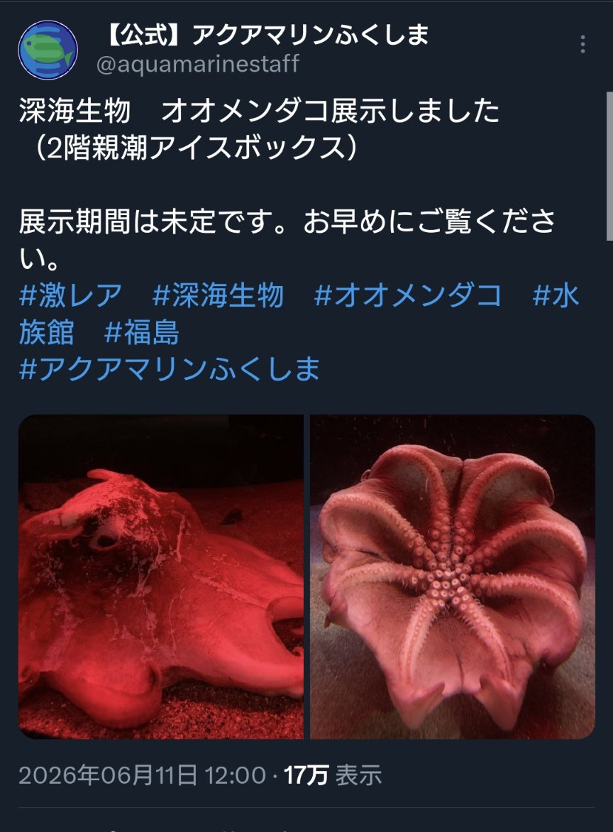 公式】アクアマリンふくしま on X: 
