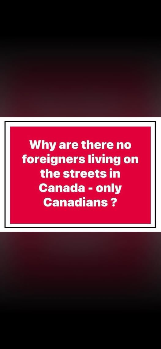 colleen_torp1's tweet photo. Anyone??? https://t.co/beE1w5L65L