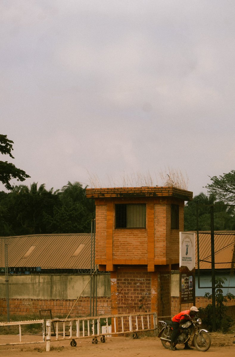 UgwuKenechukw10's tweet photo. Akégbé-Ugwu, Enugu🇳🇬
February, 2025.

Photographed By Ugwu Kenechukwu. https://t.co/OX0Pwem7Ba
