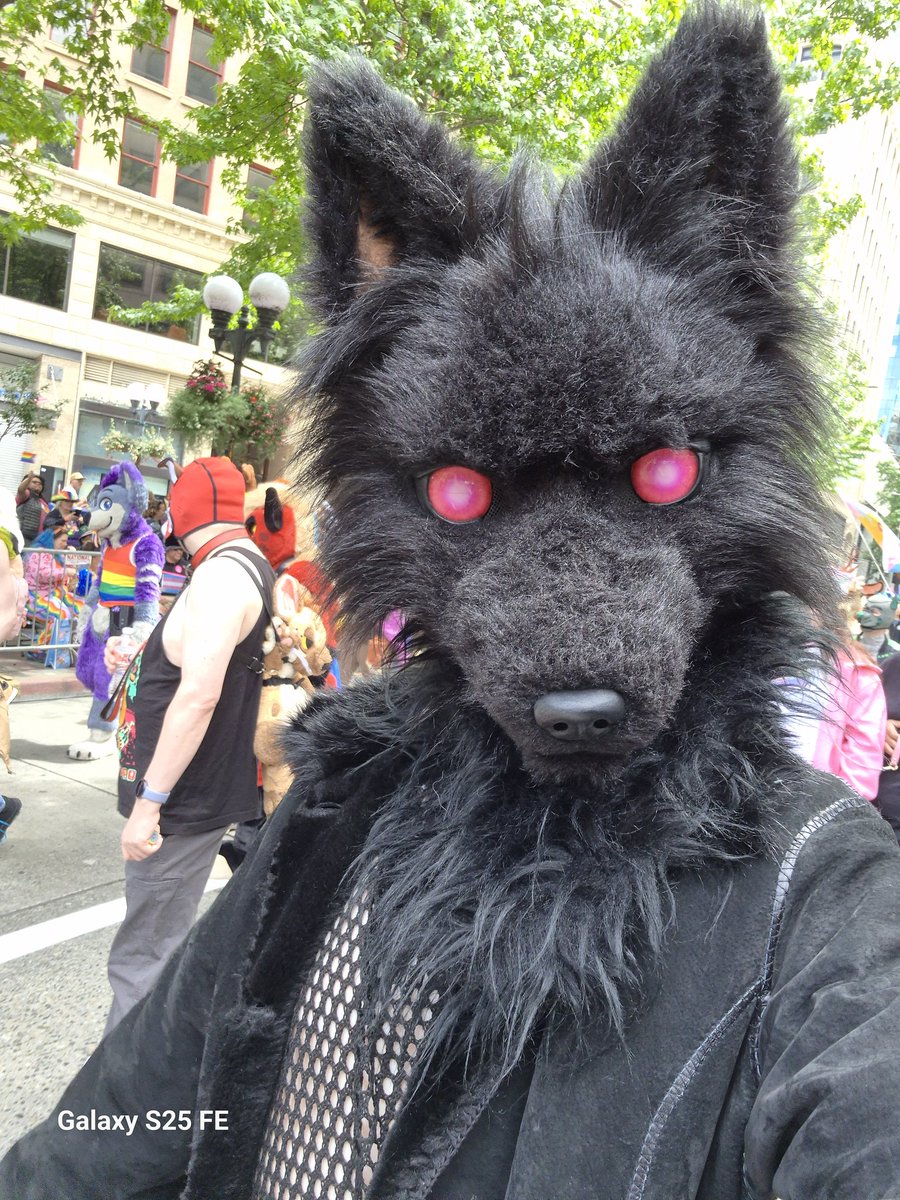 RenegadeShephrd's tweet photo. Had a blast at seattle pride. Didn't take nearly enough pictures. #furry #pride #furrypride #seatttlepride https://t.co/JOD0uLA2Xl