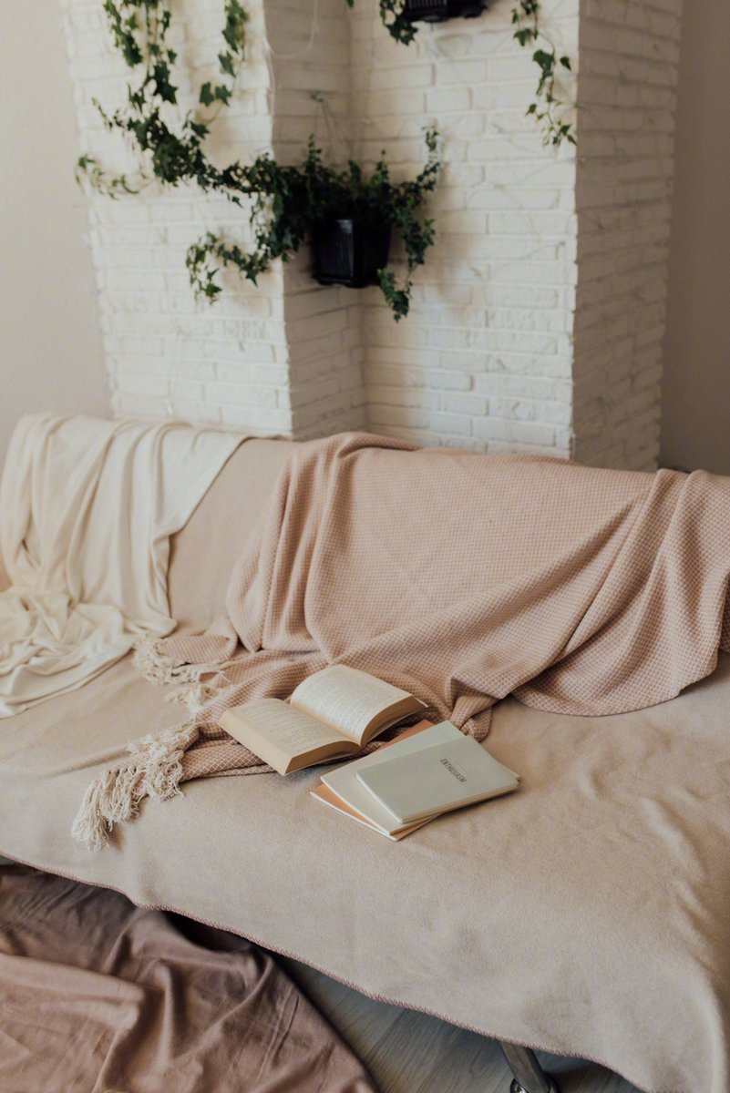 sagar68104611's tweet photo. Cozy Sunday vibes: making hot cocoa, curling up with a good book, and no plans for the rest of the day. Just the softest home. https://t.co/KVOw9ifpDk