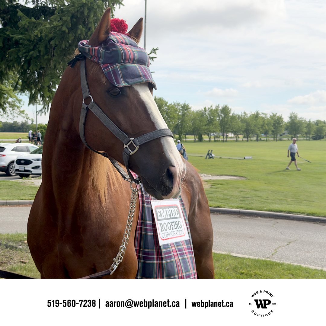 webplanetca's tweet photo. Thank you to WETRA for trusting WP with many print and digital materials for your 2026 Charity Golf Tournament!
From signs, banners, tents, flags, logo'd golf balls, and branded paper bags for door prizes to social media and website design. https://t.co/Y36x5alda5