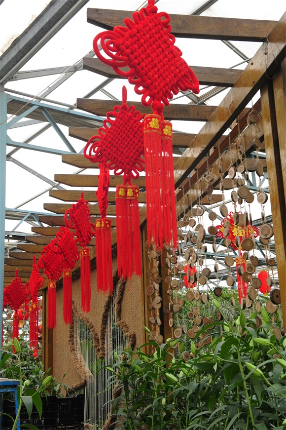 f_genildo's tweet photo. Lunar New Year vibes = red envelopes, sweet dumplings u0026 full hearts. Wishing everyone a year of joy, good health and endless laughter! https://t.co/E3DY4exnlY