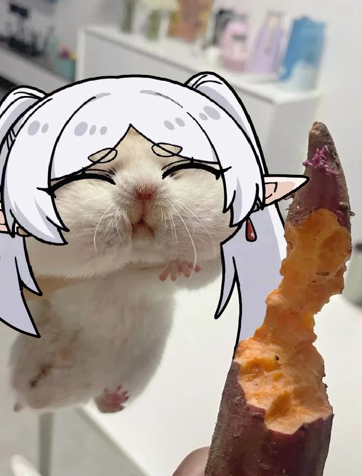 FRIERENanime_'s tweet photo. https://t.co/ym8qFyVsJU