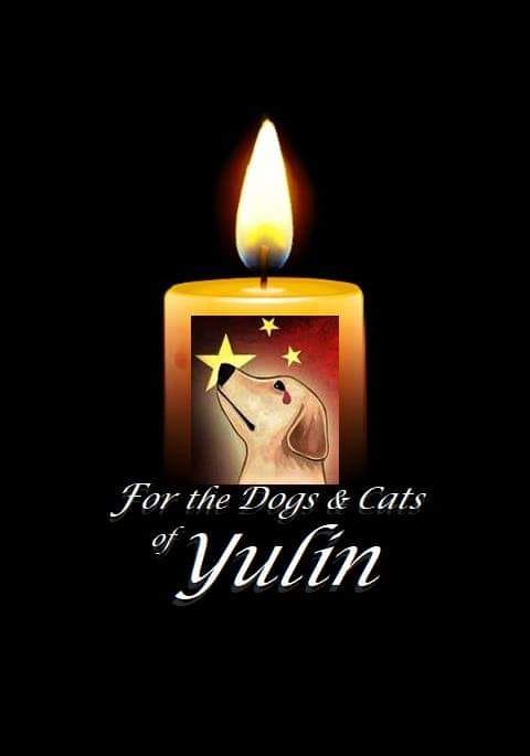 DoggieWalker17's tweet photo. @PerfectMisty #EndDogCatMeatTrade
#StopYulinForever https://t.co/pQ39ZAkCT2