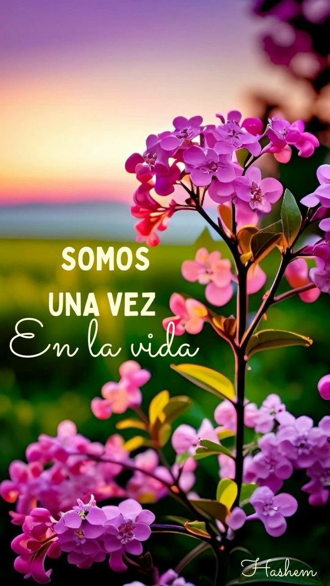 shakonini62's tweet photo. @Diosaqui007 @ParadaZamo @Gaviota87 @S11Gloria @Charo88Alicia @buguitabuguita @LoarcaCerna https://t.co/71BgIlZQh1