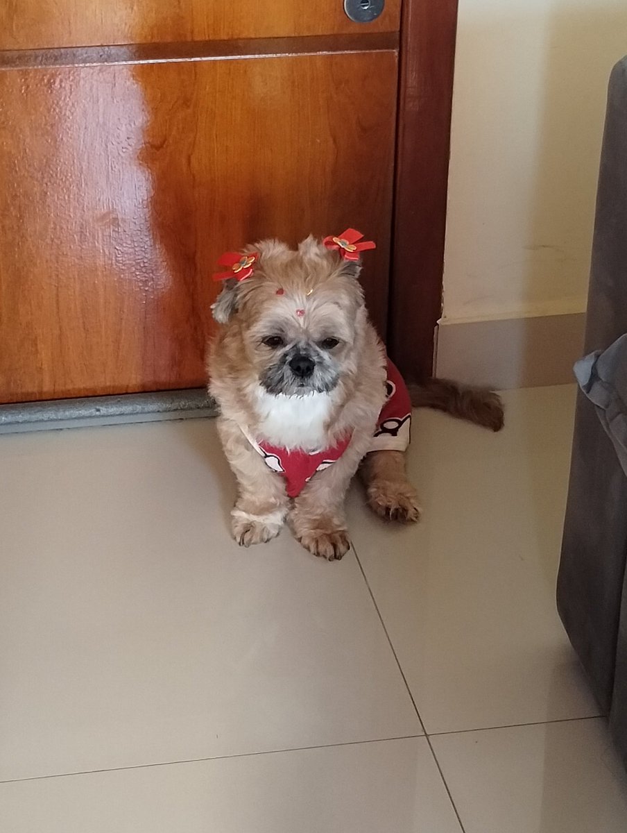 nikkioou's tweet photo. pq vc ta triste se o brasil #ganhou https://t.co/9RuPgK6uDI
