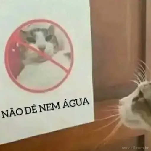 edudankan's tweet photo. @_zinetti @kabrutusdeid O primeiro passo é botar o casemiro no banco junto com o Raphinha https://t.co/D7B1tNXRHR