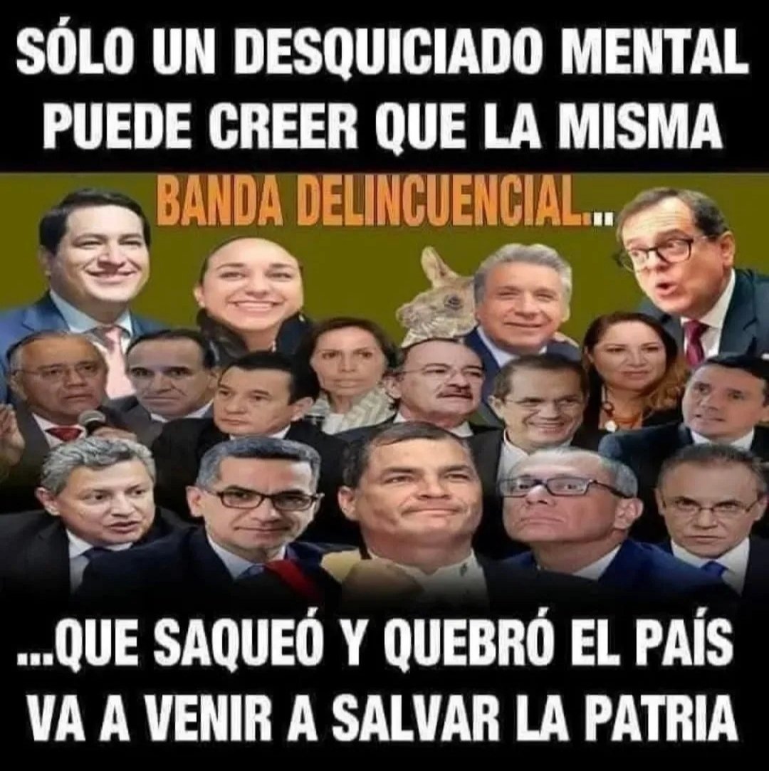 ofeliaonatb's tweet photo. @Hacke__Mate @gonzaloespin @janethinostroza @AlmaMiaEcu Porque todas las instituciones públicas estaban plagas de las ratas correistas https://t.co/gfrk2d9o2a
