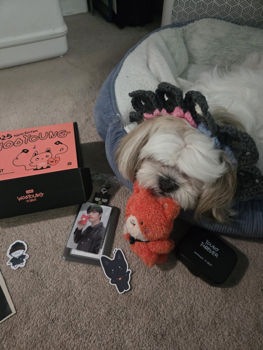 boomertiny's tweet photo. mail day go insane finally got wyphones &amp; surprise jae mail https://t.co/uTMpoFX7WV