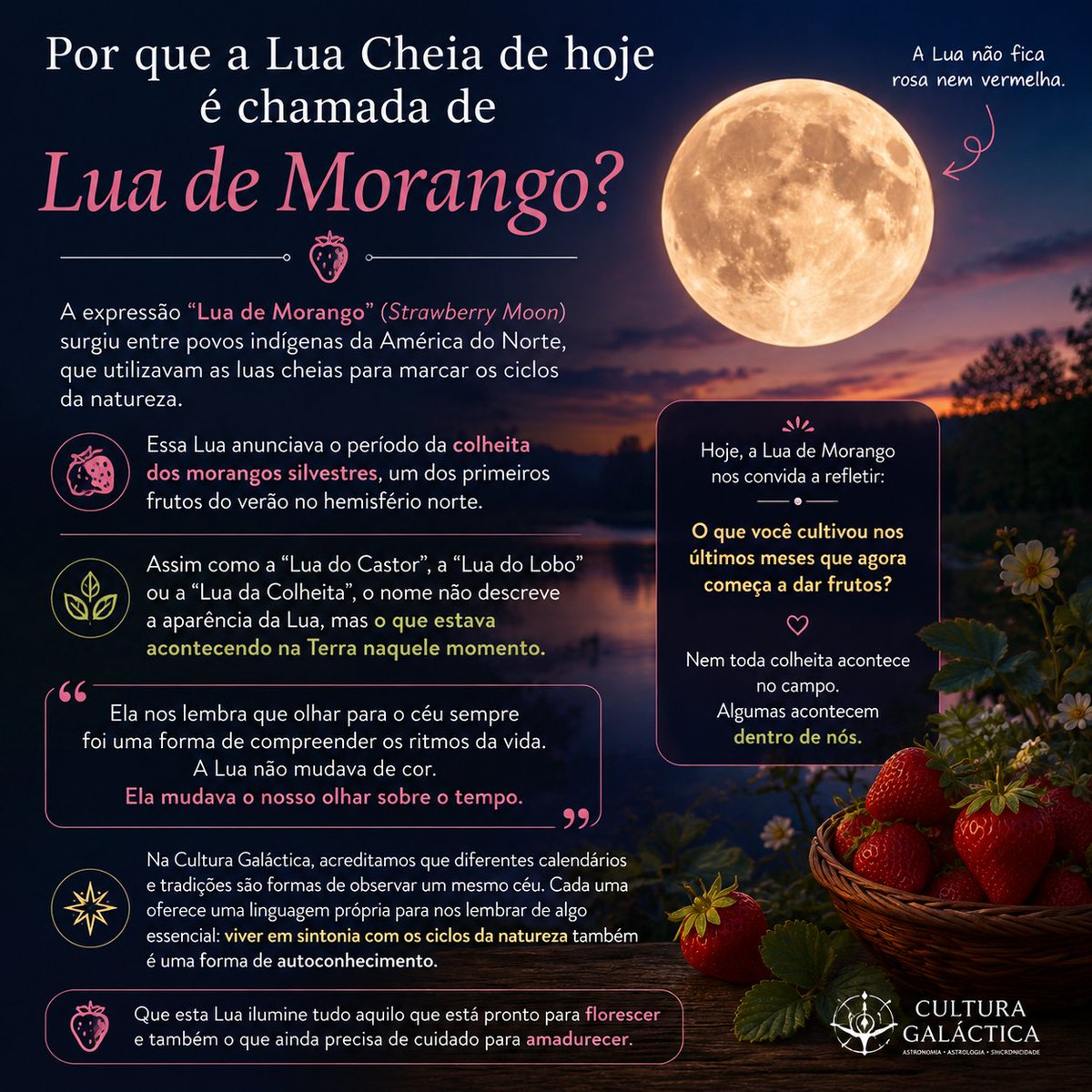 Cult_Galactic's tweet photo. LHES APRESENTO A LUA DE MORANGO!
 
Hoje a Lua ficará Cheia exatamente as 20h 57min (horário de São Paulo/Brasil) 
Infelizmente ela não ficará rosa, mas traz uma sabedoria muito profunda junto com ela.
#LuaDeMorango #StrawberryMoon #LuaCheia #CiclosDaNatureza #Autoconhecimento #CulturaGaláctica #Astronomia #Astrologia #CalendáriosAncestrais #Consciência
