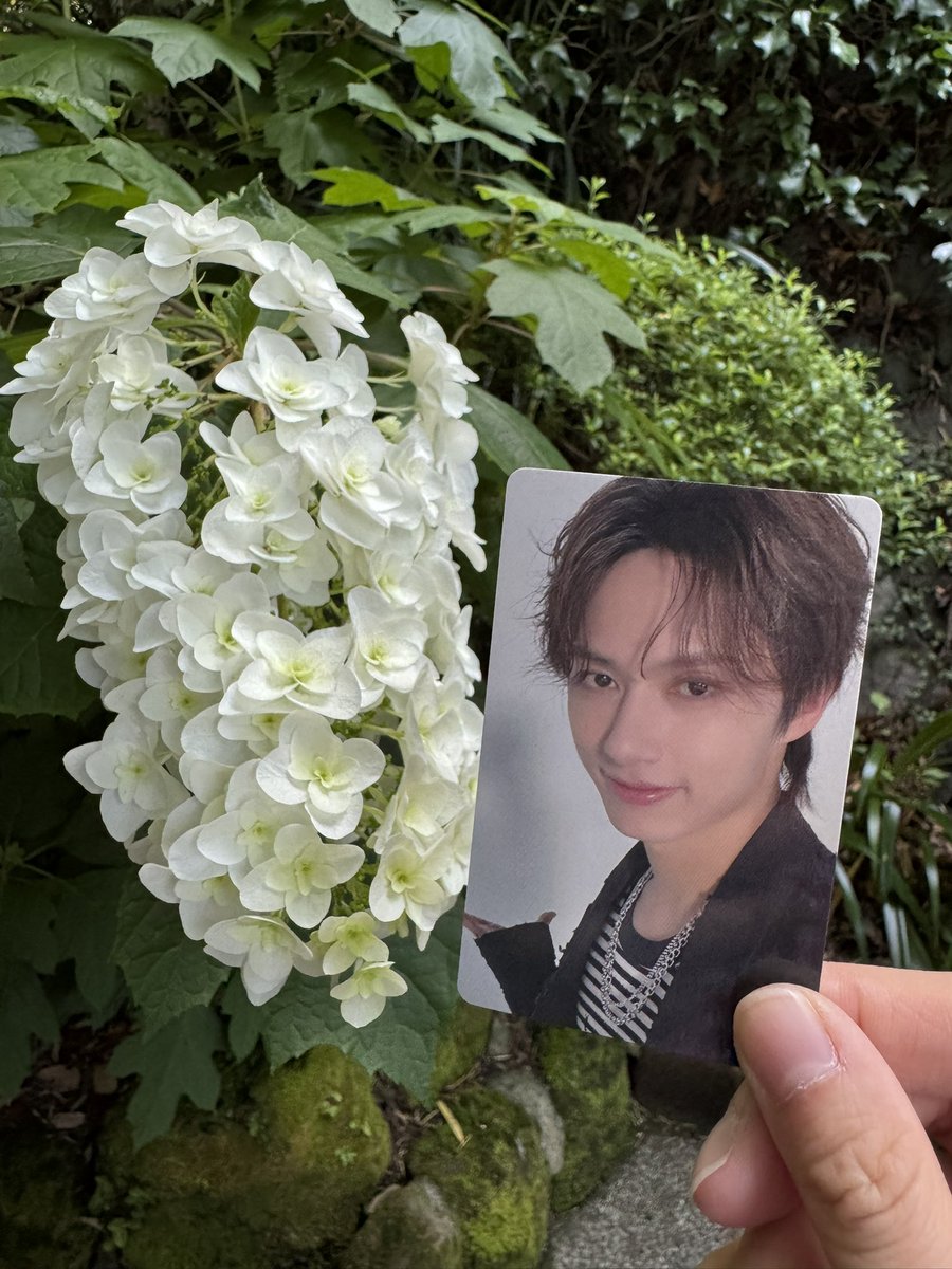 mooonjunpi610's tweet photo. 大阪から連れてきた紹介トレカが大活躍 https://t.co/kAZJUy2iyj