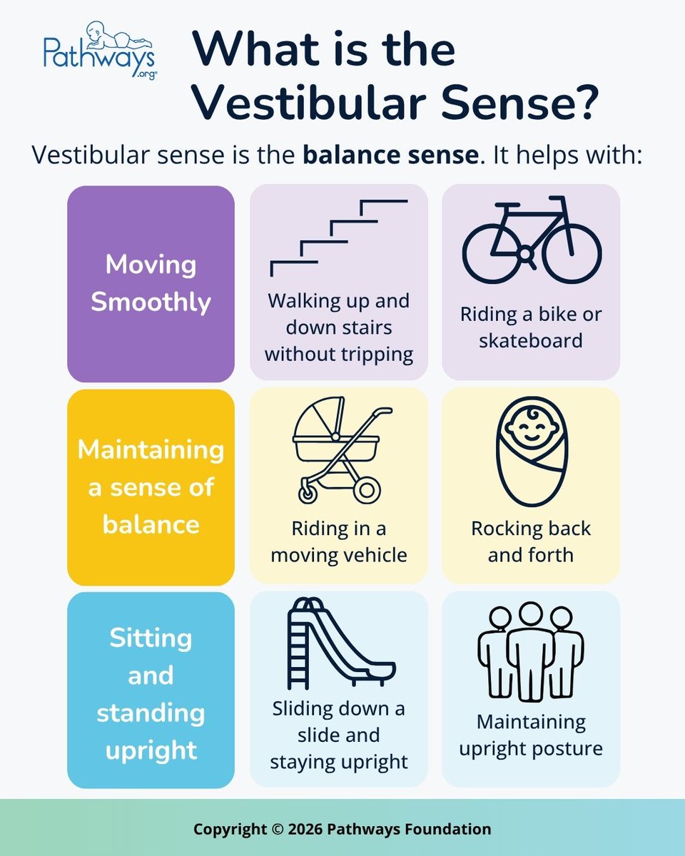 PathwaysOrg's tweet photo. The vestibular sense, also known as the movement, gravity, and/or balance sense, allows us to move smoothly. We are able to maintain our balance while engaged in activities because of this sense. Learn more about the #vestibularsense: https://t.co/oqQytGyWzF https://t.co/ESXa4pV3Fl