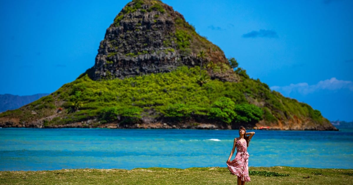hawaii_guide's tweet photo. Geocaching in Hawaii: A Visitor's Guide https://t.co/bixRFPajiL #Geocaching #Hawaii #OutdoorActivities #TreasureHunting #FamilyFun https://t.co/35rhD6lrF7