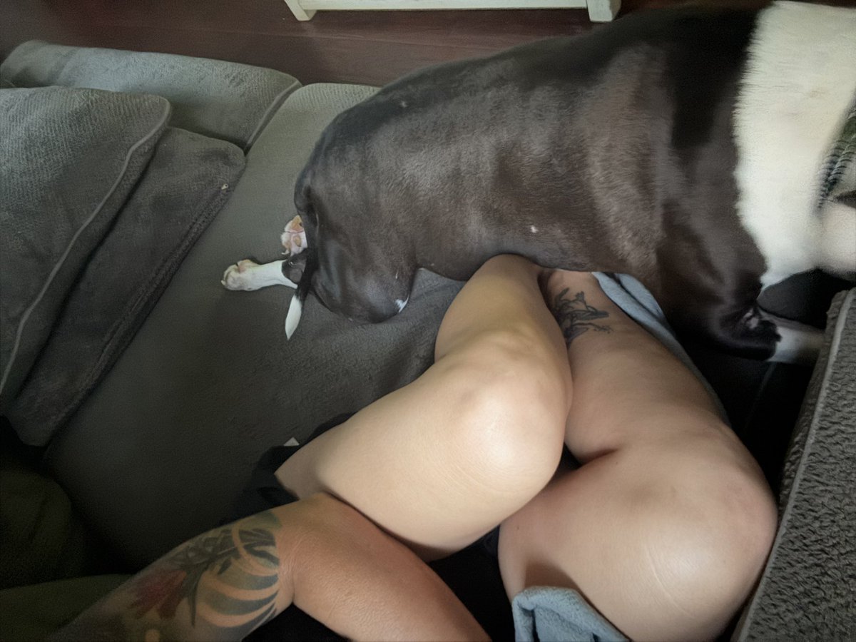 CynthiaCameroo's tweet photo. Join the Savage Society🐶😜🥵...
https://t.co/yhrsHebUSj…

 #zoosarevalid #beastiality #dogknot #zooprideisvalid #zoophile #antizoo #antizoophileantizoo #k9girl
#zoopride
#zoophilepride #zoopositivity #Bestiality #hypnotistsappho #Grace #zoophillia #dogloverspress https://t.co/nOfa4viCMn