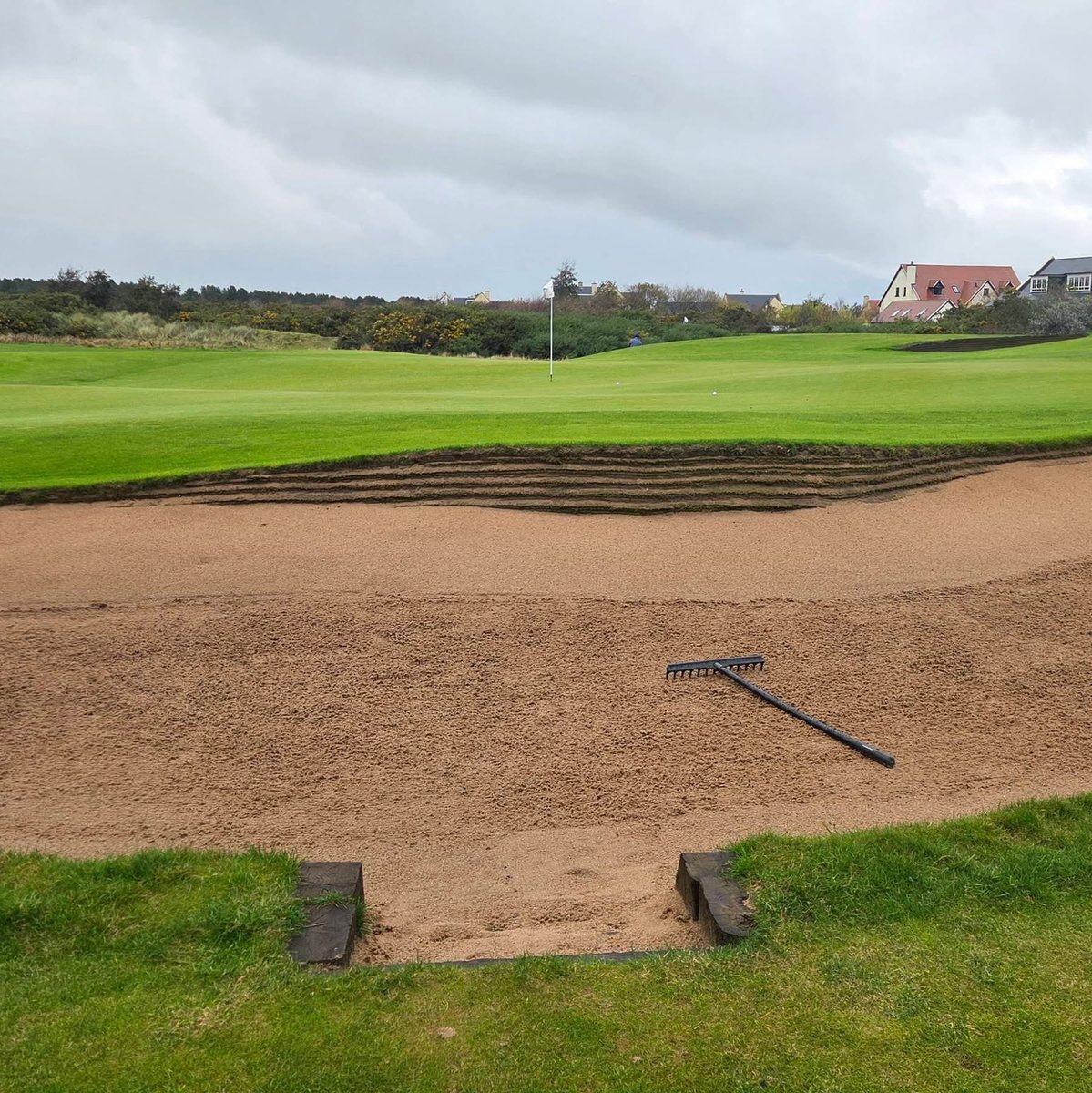 EcoBunkerLtd's tweet photo. Triplestack ecobunker synthetic revetting on show at this fine links ; @archerfieldgolf #builditonce https://t.co/ODKv3LzLAA