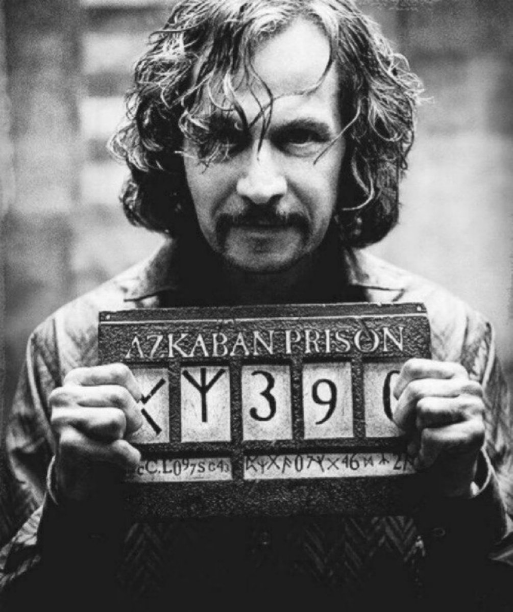 TheDailyHPotter's tweet photo. Time for a Sirius post 🩶 https://t.co/dkiEeOzqnd